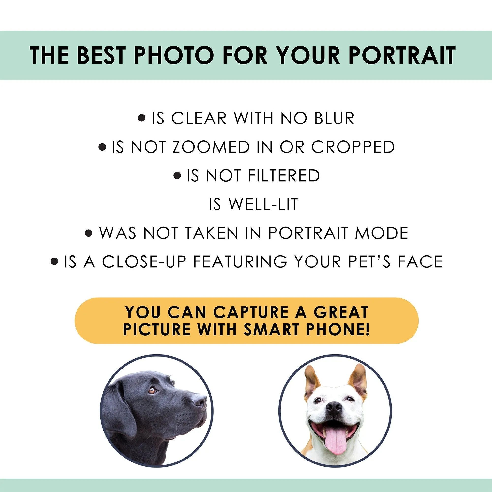 Custom pet portrait | dog portrait | cat portrait | portrait from photo | peekaboo pet | pet memorial gift | pet art | pet art print