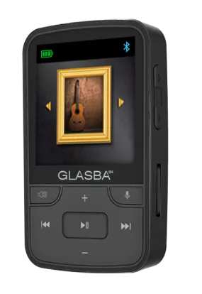 Samvix -  Glasba 8GB